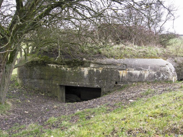Ligne Maginot - WOLFSREDGEN CENTRE - (Blockhaus pour canon) -  - Christian LENHARD