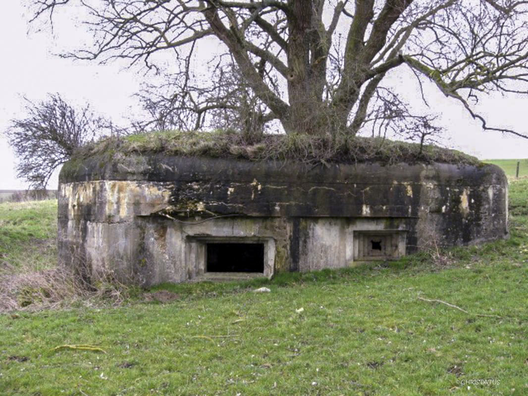 Ligne Maginot - WOLFSREDGEN OUEST - (Blockhaus pour canon) -  - Christian LENHARD