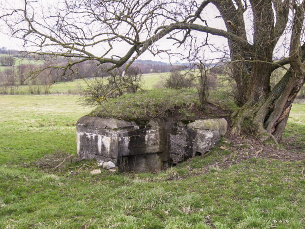 Ligne Maginot - WOLFSREDGEN OUEST - (Blockhaus pour canon) -  - Christian LENHARD