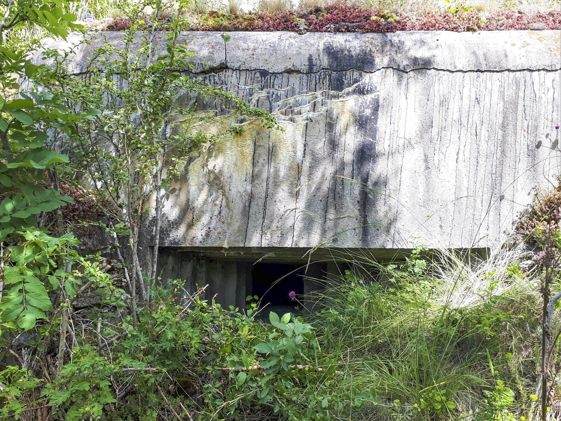 Ligne Maginot - AMODON - (Observatoire d'infanterie) - Créneau observatoire Sud-Est
Noter le dégagement permettant d'accroître le champ de vision sur la droite - Gregory Fuchs