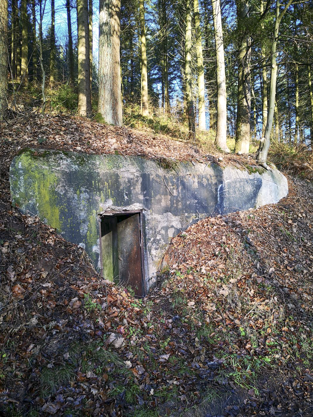Ligne Maginot - A4 - (Chambre de coupure) - La chambre de coupure A4 possède un accès de plain pied - DK_Antoine4
