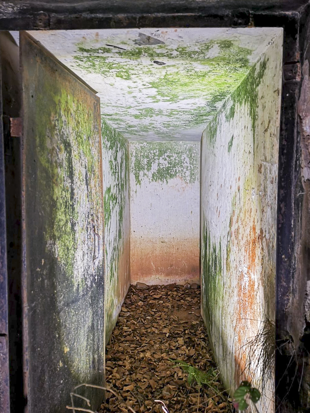 Ligne Maginot - B2 - (Chambre de coupure) - La chambre de coupure B2 porte ironiquement le même nom que le type de chambre auquel elle appartient, le type B2, avec un accès de plain-pied comme ici. - DK_Antoine4