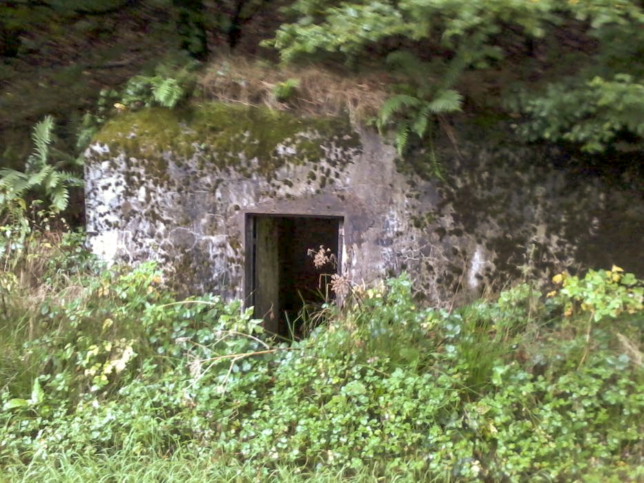 Ligne Maginot - B2 (Chambre de coupure) -  - SIEBENS Gilles