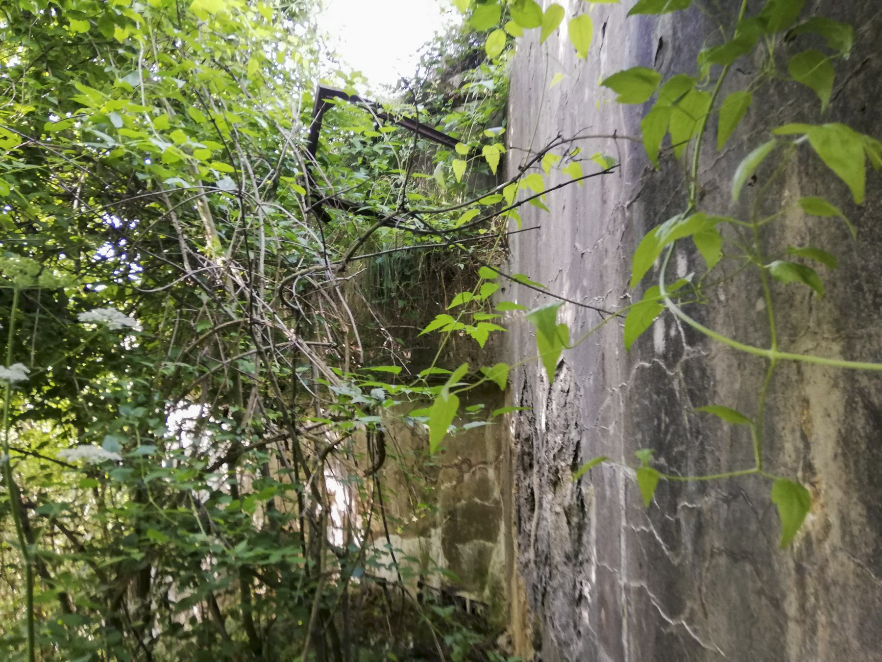Ligne Maginot - BOVENBERG - A27 - (Ouvrage d'infanterie) - Bloc 1
Vue de la façade extérieure de l'entrée des hommes - Blackmamba73