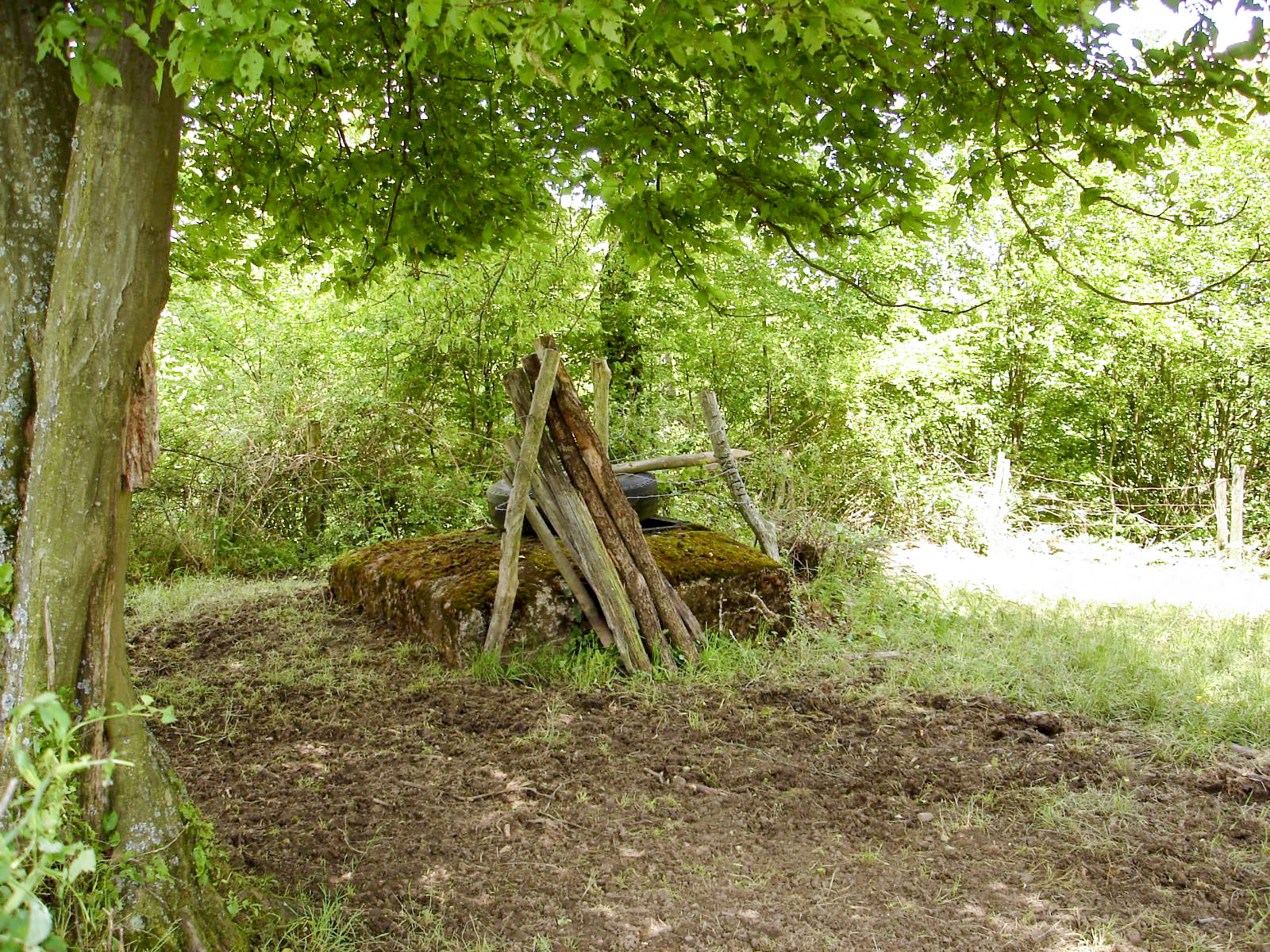 Ligne Maginot - BV22 - (Chambre de coupure) -  - Patrick Armand