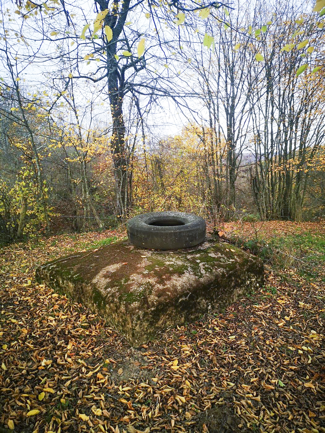 Ligne Maginot - BV22 - (Chambre de coupure) - La chambre de coupure BV22 - DK_Antoine4