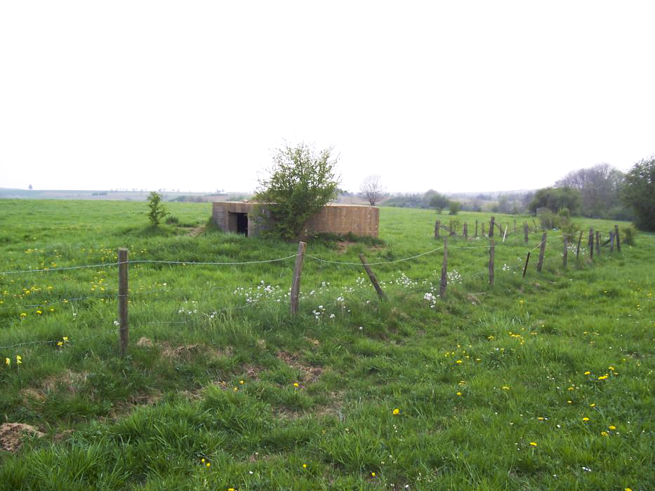 Ligne Maginot - DIEBELSWIESE - (Blockhaus pour arme infanterie) -  - JM57