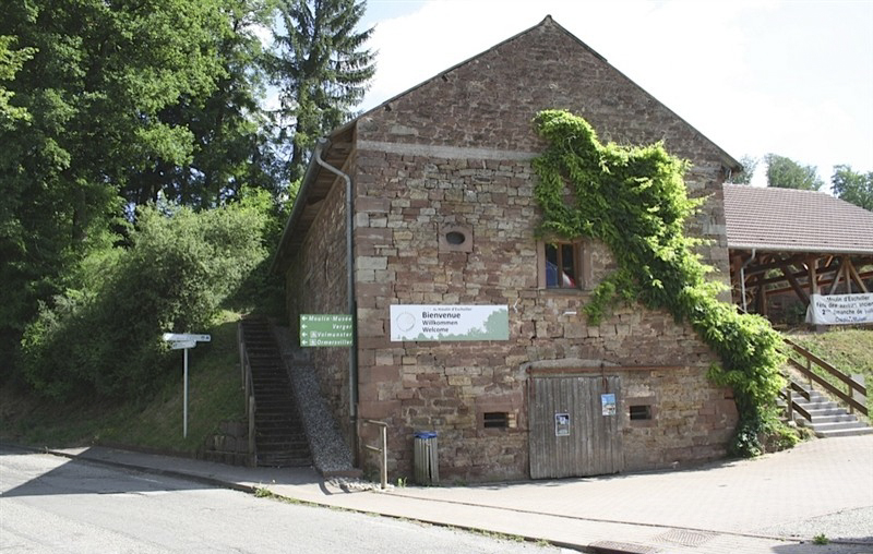 Ligne Maginot - ESCHVILLER (MF DU MOULIN) - (Poste GRM - Maison Forte) - Blockhaus camouflé dans l'ancien grenier à blé - Jean PUELINCKX