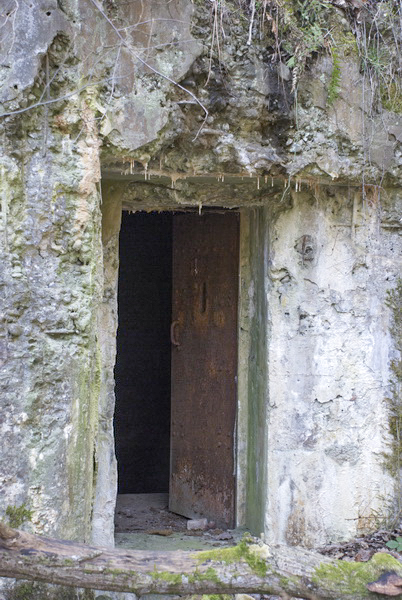 Ligne Maginot - FERME DE HEILIGENBRONN - (153° RIF - 59° RAMF) - (PC de Sous-Secteur) - L'entrée - LEHMANN Denis