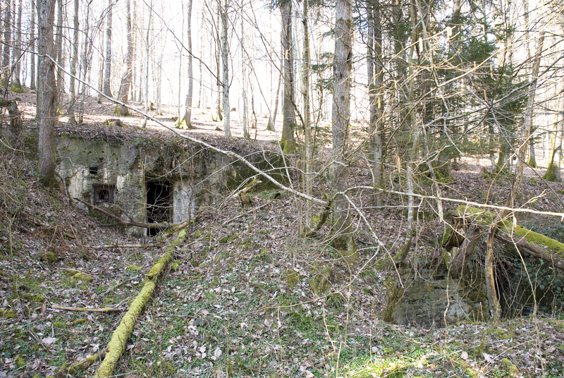 Ligne Maginot - FERME DE HEILIGENBRONN - (153° RIF - 59° RAMF) - (PC de Sous-Secteur) - PC et l'abri n° 1 - LEHMANN Denis