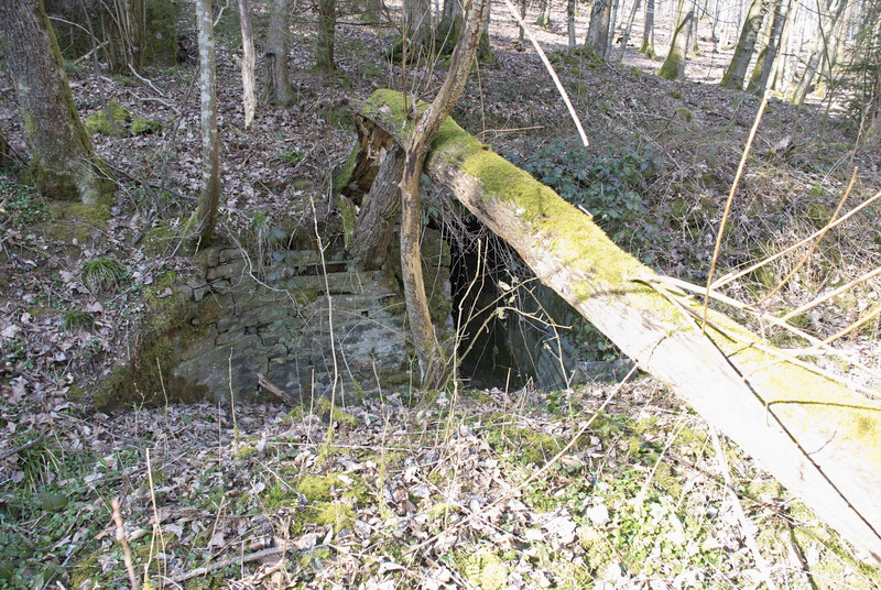 Ligne Maginot - HEILIGENBRONN 1 - (Abri) - Entrée de l'abri n° 1 - LEHMANN Denis