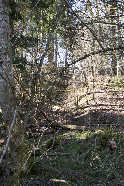 Ligne Maginot - FERME DE HEILIGENBRONN - (153° RIF - 59° RAMF) - (PC de Sous-Secteur) - Une tranchée 39/40 où 44/45  - LEHMANN Denis