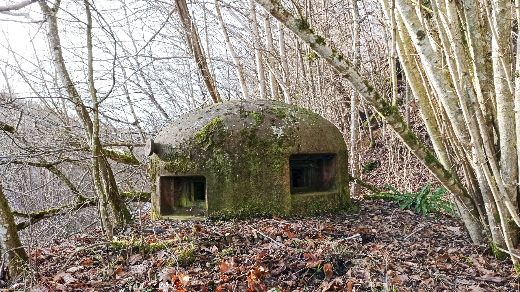 Ligne Maginot - FROHMUHL (PC DU QUARTIER KAPELLENHOF - II/153° RIF) - (Abri) - Extérieur de la cloche Guetteur Fusil Mitrailleur du coffre d'entrée Ouest - Baptiste Gaudin