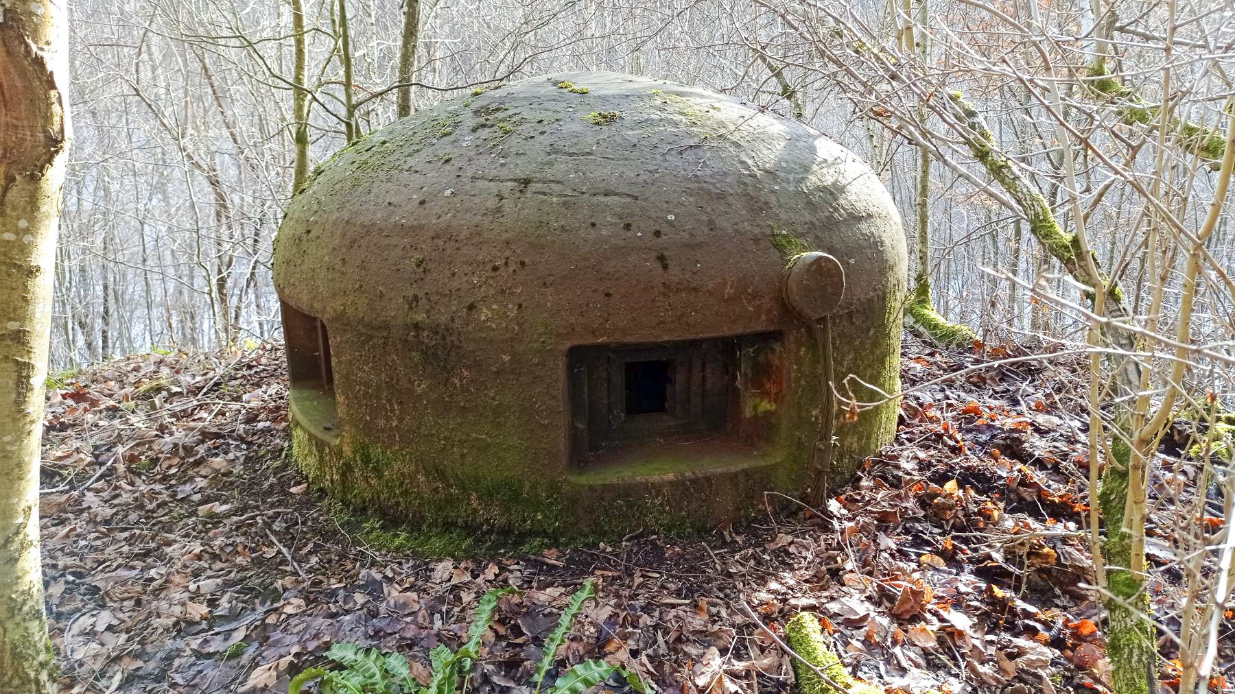 Ligne Maginot - FROHMUHL (PC DU QUARTIER KAPELLENHOF - II/153° RIF) - (Abri) - Extérieur de la cloche Guetteur Fusil Mitrailleur du coffre d'entrée Ouest - Baptiste Gaudin