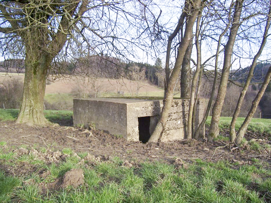 Ligne Maginot - GALGENBERG 3 - (Blockhaus pour arme infanterie) - Vue arrière et entrée - JM57