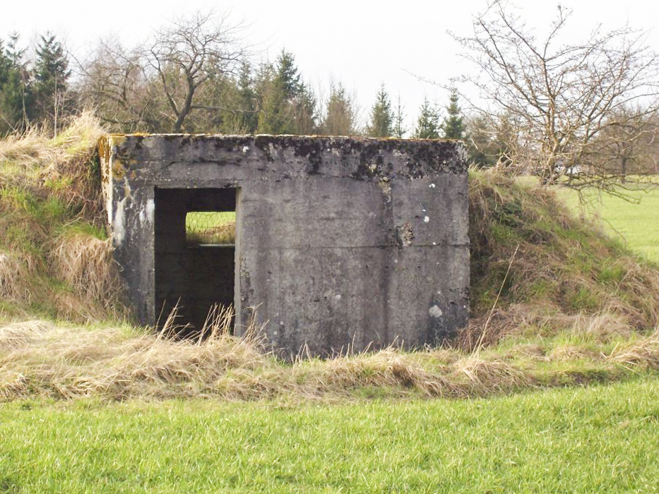 Ligne Maginot - GALGENBERG 1 - (Blockhaus pour arme infanterie) -  - JM57