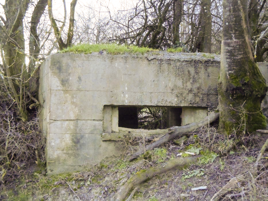 Ligne Maginot - GALGENBERG 2 - (Blockhaus pour arme infanterie) - Façade avant - jm57