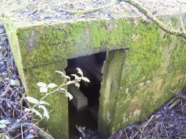 Ligne Maginot - GALGENBERG 2 - (Blockhaus pour arme infanterie) - Entrée - JM57