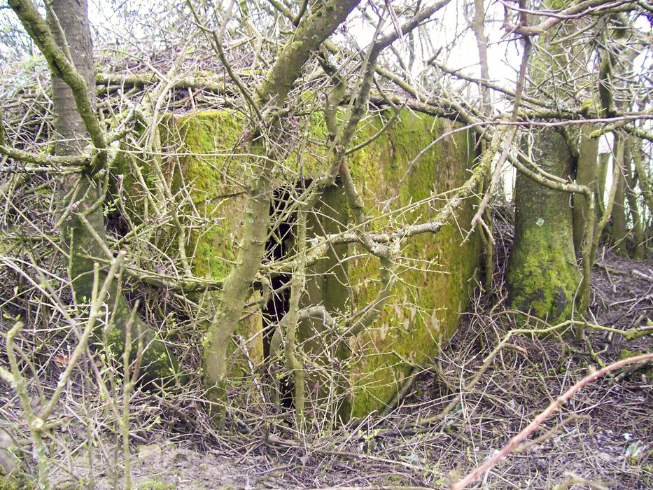 Ligne Maginot - GALGENBERG 2 - (Blockhaus pour arme infanterie) - L'entrée - JM57