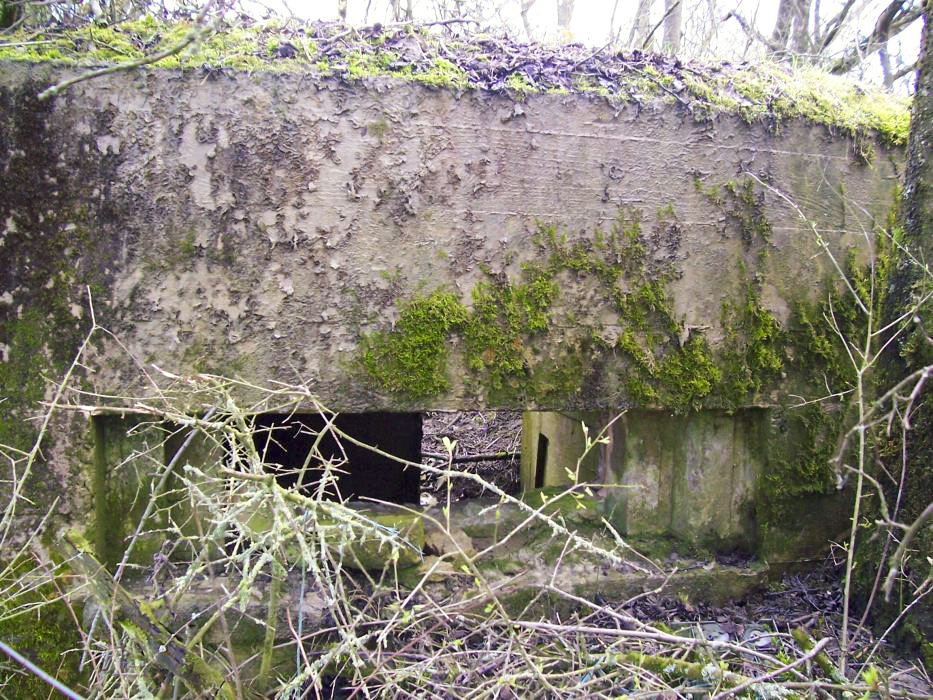 Ligne Maginot - GALGENBERG 2 - (Blockhaus pour arme infanterie) - Façade avant - JM57