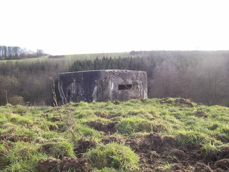 Ligne Maginot - GALGENBERG 4 - (Blockhaus pour arme infanterie) - Vue générale - JM57