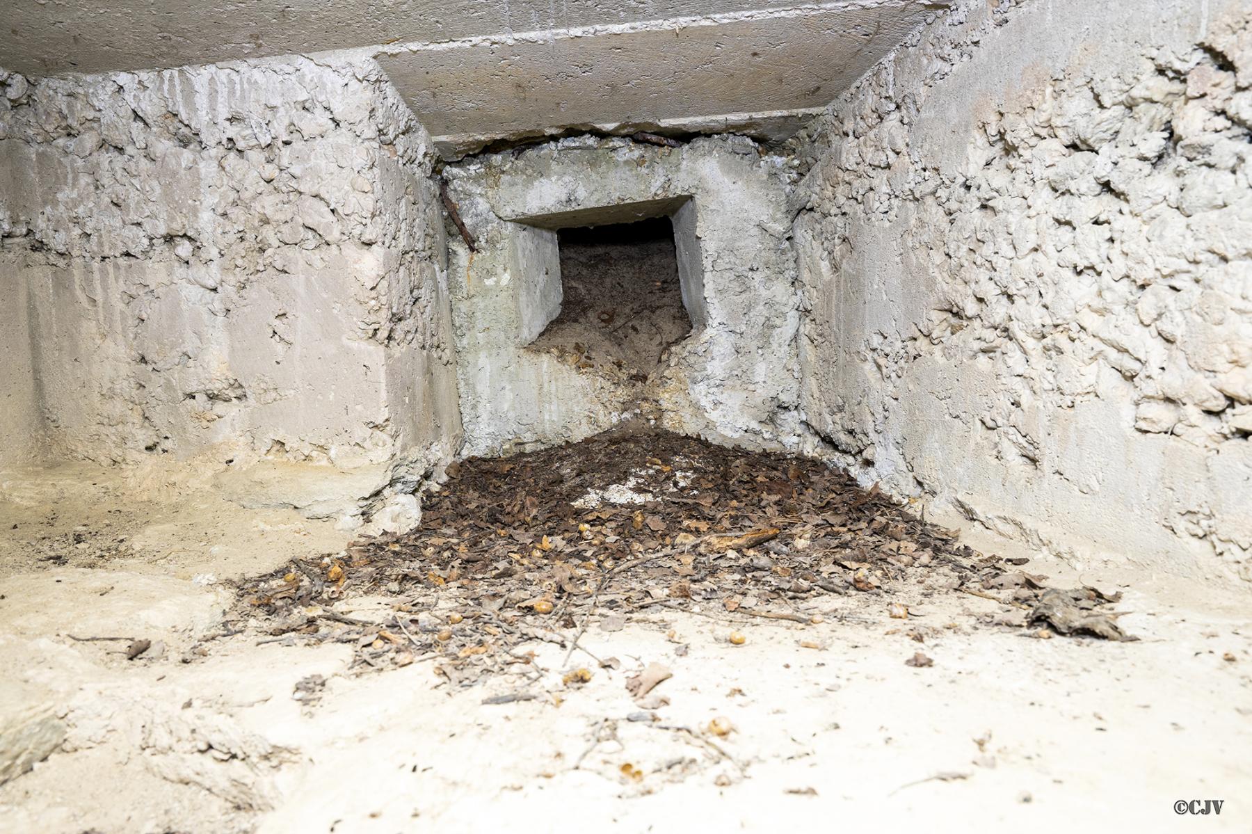 Ligne Maginot - AMODON 1 - (Blockhaus pour arme infanterie) - Créneau frontal - Lia VERMEULEN