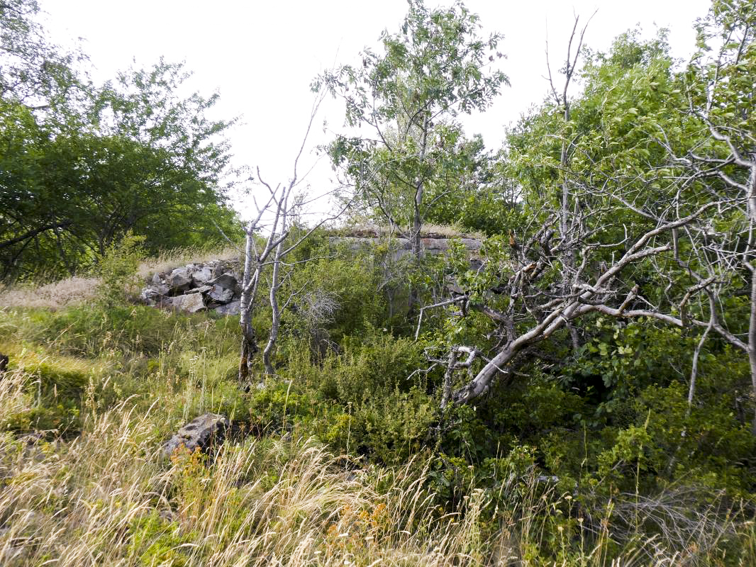 Ligne Maginot - AMODON - (Observatoire d'infanterie) - Vue sur le créneau observatoire Sud-Est - ELLENA - CUNY