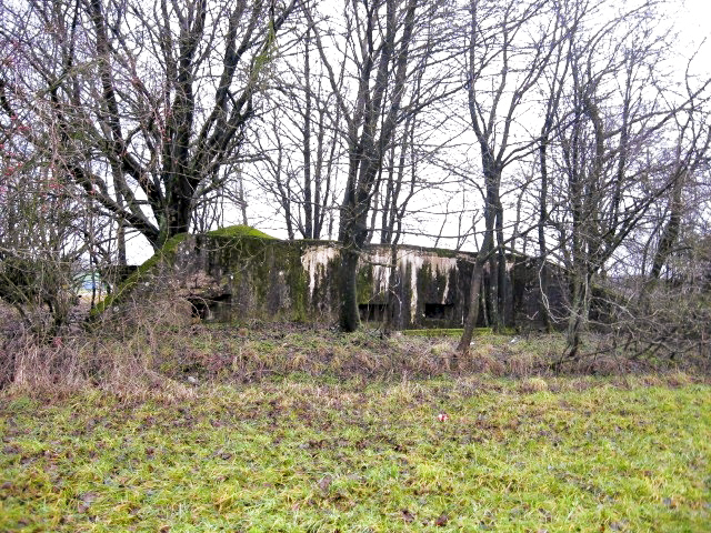 Ligne Maginot - HAMMELSWIESE 6 - (Blockhaus pour arme infanterie) - Vue générale - Christian LENHARD