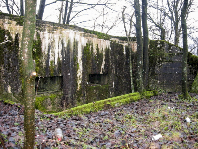 Ligne Maginot - HAMMELSWIESE 6 - (Blockhaus pour arme infanterie) - Façade de tir - Christian LENHARD