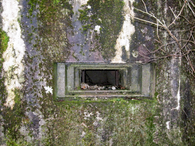 Ligne Maginot - HAMMELSWIESE 6 - (Blockhaus pour arme infanterie) - Créneau mitrailleuse - Christian LENHARD