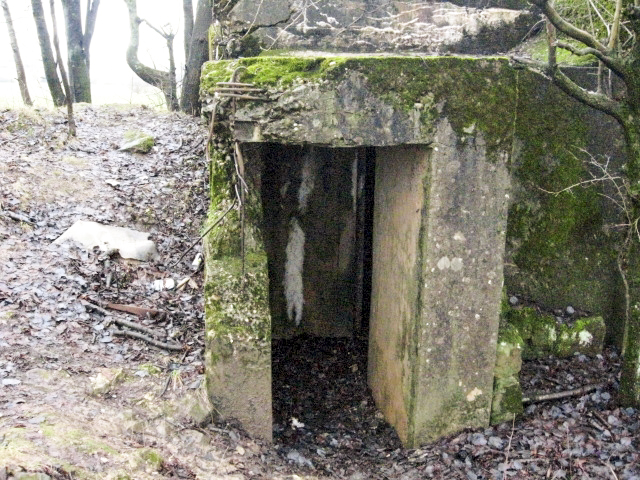 Ligne Maginot - HAMMELSWIESE 6 - (Blockhaus pour arme infanterie) - L’entrée - Christian LENHARD