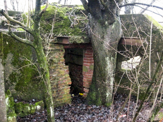 Ligne Maginot - HAMMELSWIESE 6 - (Blockhaus pour arme infanterie) - L'observatoire - Christian LENHARD