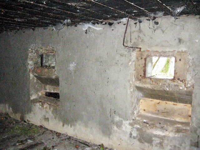 Ligne Maginot - HAMMELSWIESE 6 - (Blockhaus pour arme infanterie) - Les créneaux mitrailleuses - Christian LENHARD