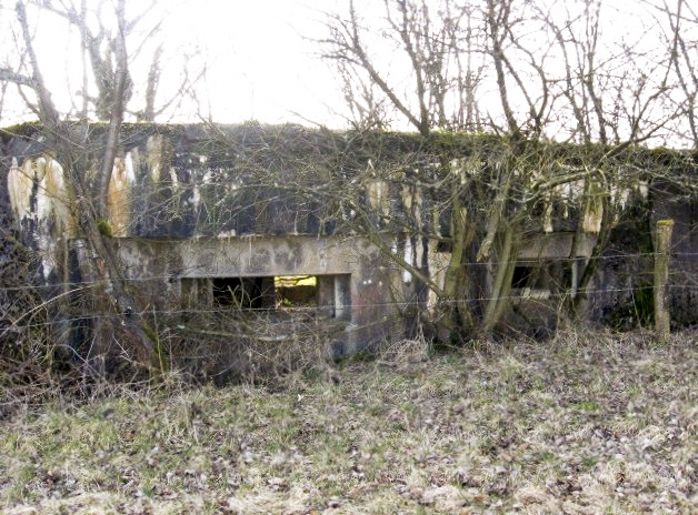 Ligne Maginot - HAMMELSWIESE  8 - (Blockhaus pour canon) - Le créneau canon et  de mitrailleuse - Christian LENHARD