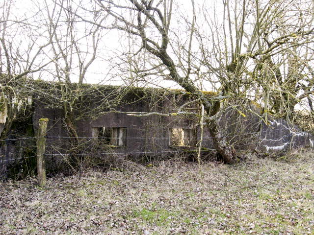 Ligne Maginot - HAMMELSWIESE  8 - (Blockhaus pour canon) - Mur d'aile
Deux faux créneaux - Christian LENHARD