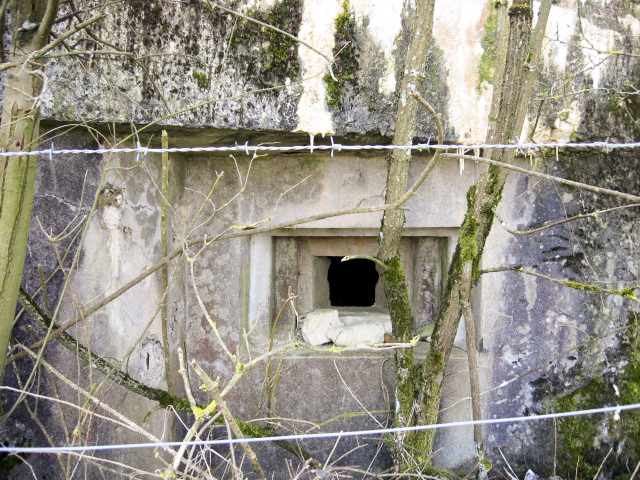 Ligne Maginot - HAMMELSWIESE  8 - (Blockhaus pour canon) - Créneau mitrailleuse - Christian LENHARD