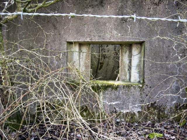 Ligne Maginot - HAMMELSWIESE  8 - (Blockhaus pour canon) - Faux créneau - Christian LENHARD