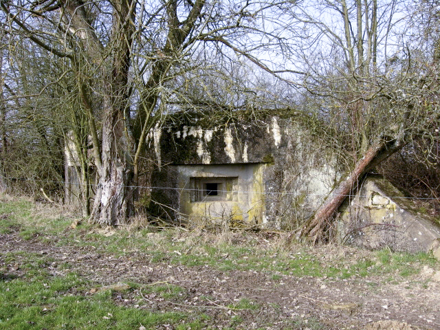 Ligne Maginot - HAMMELSWIESE  8 - (Blockhaus pour canon) - Créneau mitrailleuse - Christian LENHARD