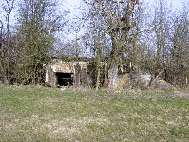 Ligne Maginot - HAMMELSWIESE  8 - (Blockhaus pour canon) - Façade arrière - Christian LENHARD