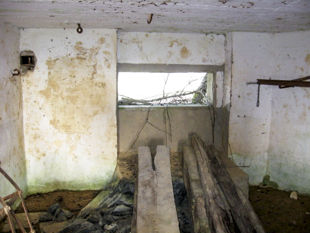 Ligne Maginot - HAMMELSWIESE  8 - (Blockhaus pour canon) - Le créneau canon - Christian LENHARD