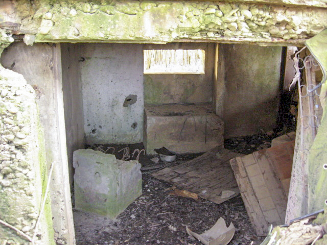 Ligne Maginot - HAMMELSWIESE 9 - (Blockhaus pour canon) - Chambre de tir du canon - Christian LENHARD