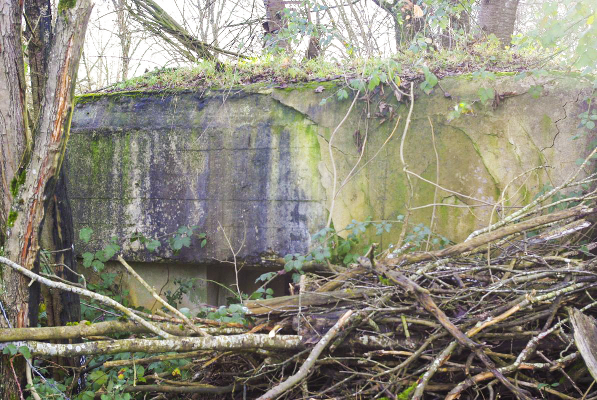 Ligne Maginot - HANFHUEBEL EST - (Blockhaus pour arme infanterie) -  - JM57