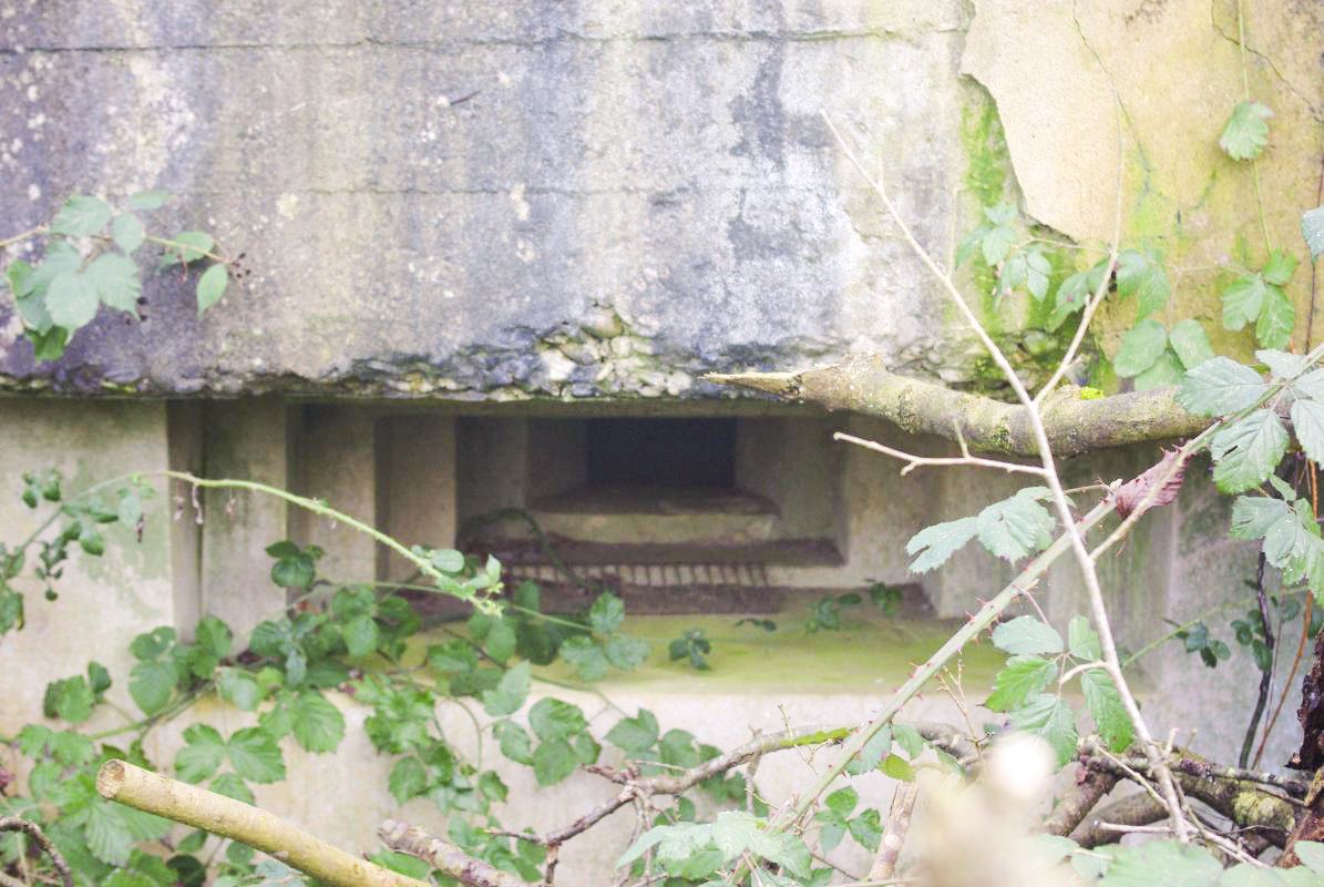 Ligne Maginot - HANFHUEBEL EST - (Blockhaus pour arme infanterie) -  - JM57