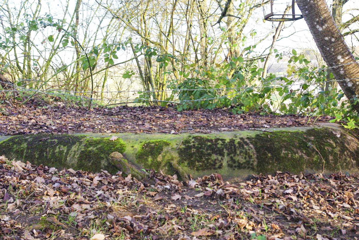 Ligne Maginot - HANFHUEBEL EST - (Blockhaus pour arme infanterie) - L’entrée est merlonnée - JM57