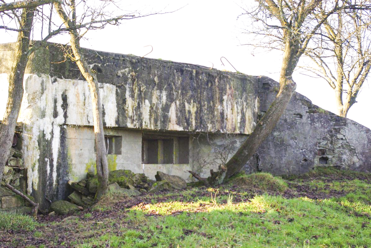 Ligne Maginot - HANFHUEBEL OUEST - (Blockhaus pour canon) -  - JM57
