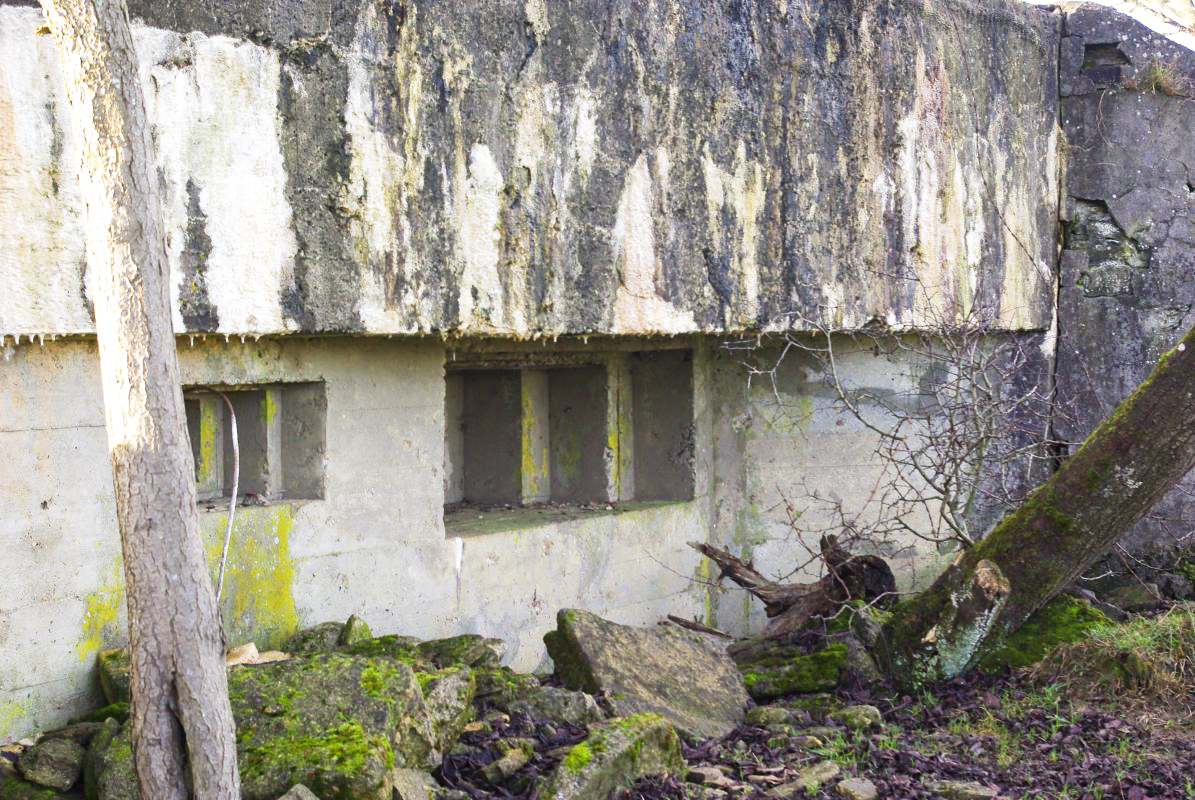 Ligne Maginot - HANFHUEBEL OUEST - (Blockhaus pour canon) -  - JM57