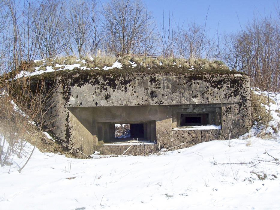 Ligne Maginot - HEILIGENBRONNEN OUEST - (Blockhaus pour canon) - Façade avant avec les créneaux - JM57