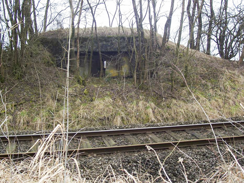 Ligne Maginot - HEILIGENBRONNEN OUEST - (Blockhaus pour canon) -  - JM57