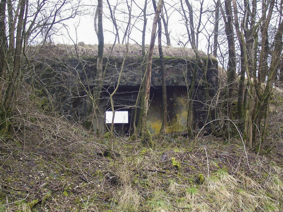 Ligne Maginot - HEILIGENBRONNEN OUEST - (Blockhaus pour canon) - Vue arrière - jm57