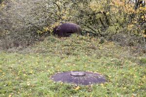 Ligne Maginot - SIMSERHOF - (Ouvrage d'artillerie) - Bloc 6
Cloche LG et GFM
